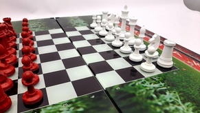 Нарды и Шахматы СПАРТАК