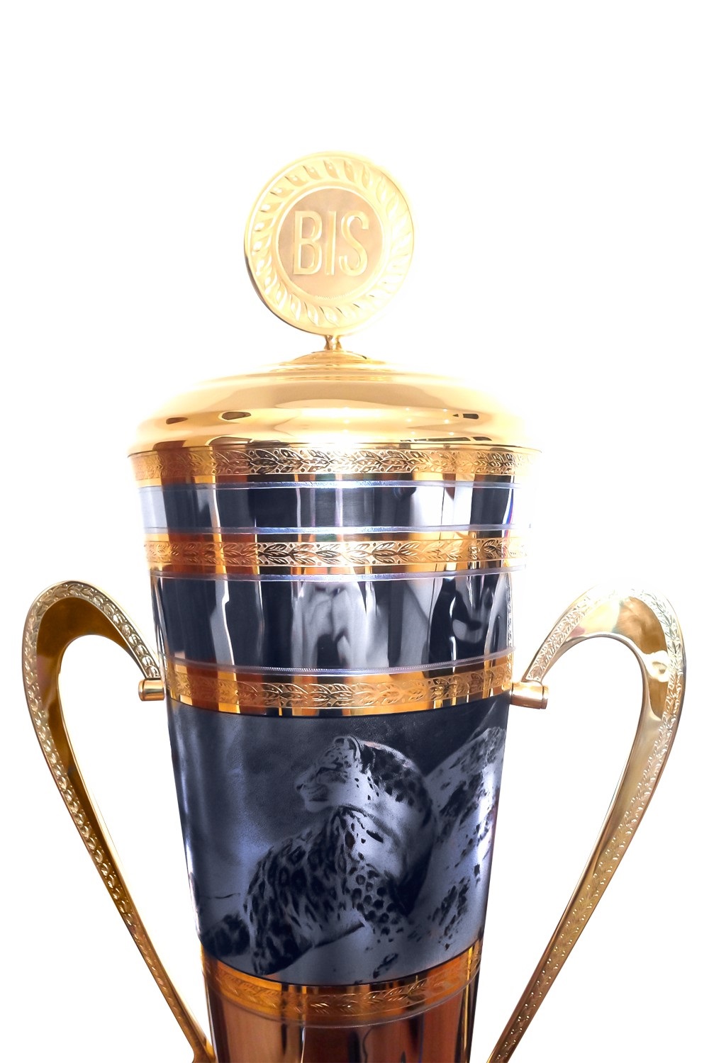 Кубок BIS